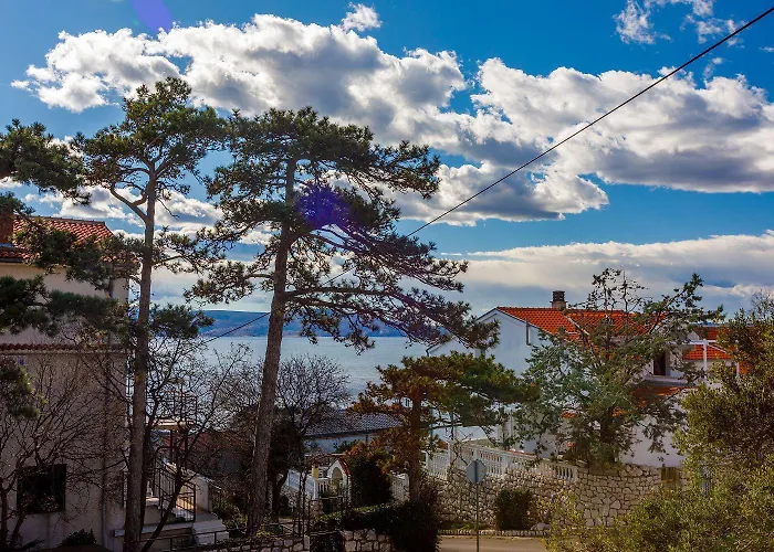 Hundefreundliches Studio-apartment Nur 250 Meter Zum Mit Meerblick * Novi Vinodolski